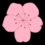 WWW,se838·COM网站APPAPP应用